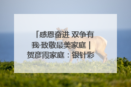 感恩奋进 双争有我·致敬最美家庭｜贺彦霞家庭：银针彩线绣出好日子