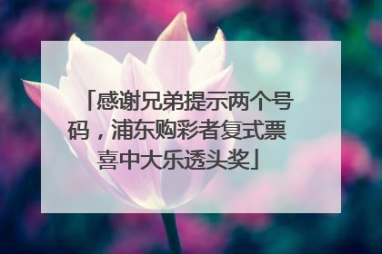 感谢兄弟提示两个号码，浦东购彩者复式票喜中大乐透头奖