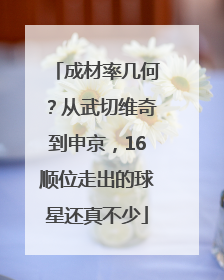成材率几何？从武切维奇到申京，16顺位走出的球星还真不少