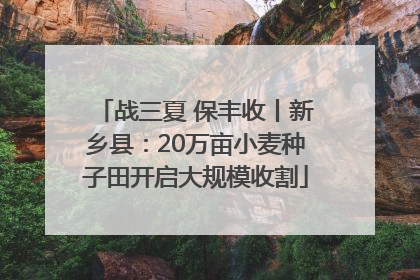 战三夏 保丰收丨新乡县：20万亩小麦种子田开启大规模收割