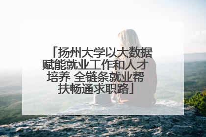 扬州大学以大数据赋能就业工作和人才培养 全链条就业帮扶畅通求职路