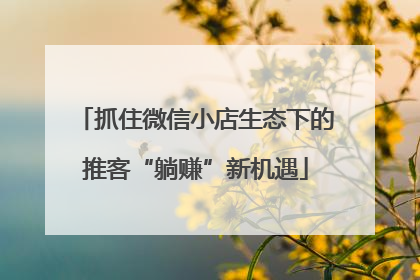 抓住微信小店生态下的推客“躺赚”新机遇