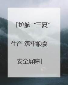 护航“三夏”生产 筑牢粮食安全屏障