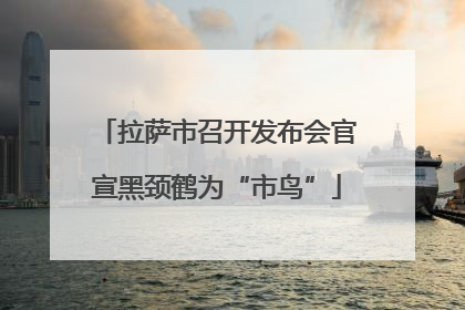 拉萨市召开发布会官宣黑颈鹤为“市鸟”