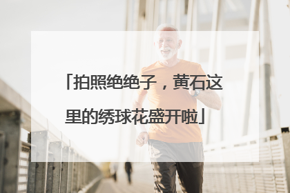 拍照绝绝子，黄石这里的绣球花盛开啦