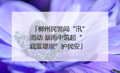 柳州民警闻“汛”而动 暴雨中筑起“藏蓝堤坝”护民安