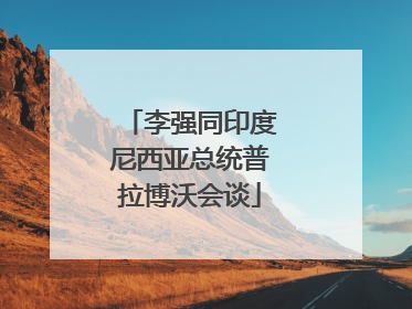 李强同印度尼西亚总统普拉博沃会谈
