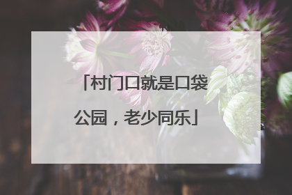 村门口就是口袋公园，老少同乐