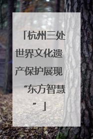 杭州三处世界文化遗产保护展现“东方智慧”