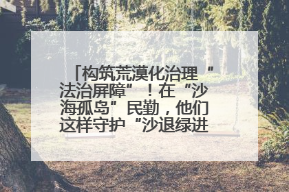 构筑荒漠化治理“法治屏障”！在“沙海孤岛”民勤，他们这样守护“沙退绿进”的生态奇迹