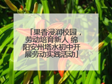 果香浸润校园，劳动培育新人 绵阳安州塔水初中开展劳动实践活动