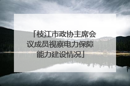 枝江市政协主席会议成员视察电力保障能力建设情况