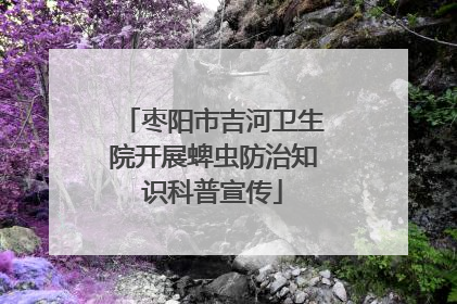 枣阳市吉河卫生院开展蜱虫防治知识科普宣传
