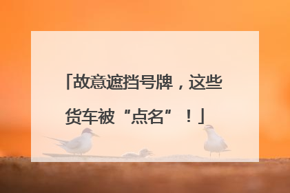 故意遮挡号牌，这些货车被“点名”！