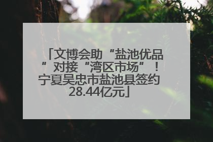 文博会助“盐池优品”对接“湾区市场”！宁夏吴忠市盐池县签约28.44亿元