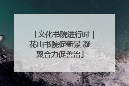 文化书院进行时｜花山书院促新景 凝聚合力促善治