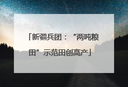 新疆兵团：“两吨粮田”示范田创高产
