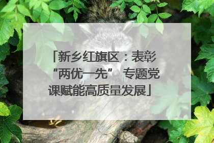 新乡红旗区：表彰 “两优一先” 专题党课赋能高质量发展