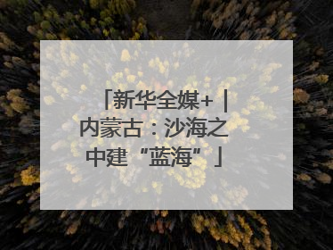 新华全媒+｜内蒙古：沙海之中建“蓝海”