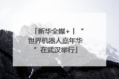 新华全媒+丨“世界机器人嘉年华”在武汉举行
