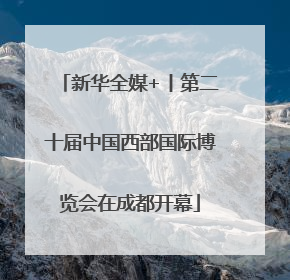 新华全媒+丨第二十届中国西部国际博览会在成都开幕