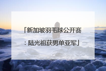 新加坡羽毛球公开赛：陆光祖获男单亚军