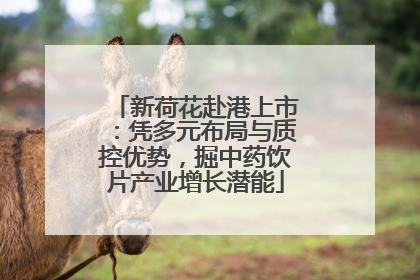 新荷花赴港上市：凭多元布局与质控优势，掘中药饮片产业增长潜能