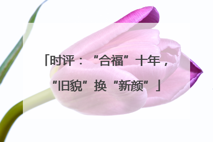 时评：“合福”十年，“旧貌”换“新颜”