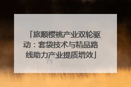 旅顺樱桃产业双轮驱动：套袋技术与精品路线助力产业提质增效
