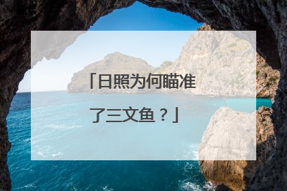 日照为何瞄准了三文鱼？