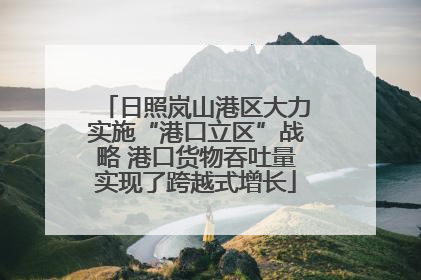 日照岚山港区大力实施“港口立区”战略 港口货物吞吐量实现了跨越式增长