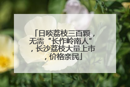 日啖荔枝三百颗，无需“长作岭南人”，长沙荔枝大量上市，价格亲民