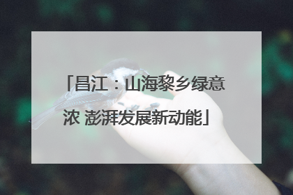 昌江：山海黎乡绿意浓 澎湃发展新动能