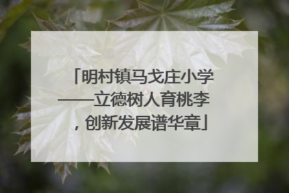 明村镇马戈庄小学——立德树人育桃李，创新发展谱华章