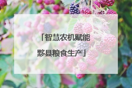 智慧农机赋能黟县粮食生产