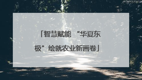 智慧赋能 “华夏东极”绘就农业新画卷