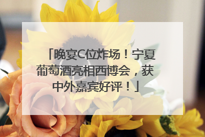 晚宴C位炸场！宁夏葡萄酒亮相西博会，获中外嘉宾好评！