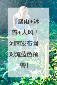 暴雨+冰雹+大风！河南发布强对流蓝色预警