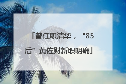 曾任职清华，“85后”黄佐财新职明确