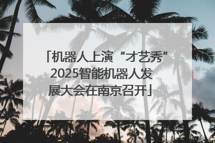 机器人上演“才艺秀” 2025智能机器人发展大会在南京召开