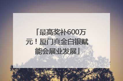 最高奖补600万元！厦门真金白银赋能会展业发展