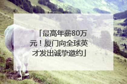 最高年薪80万元！厦门向全球英才发出诚挚邀约