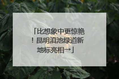 比想象中更惊艳！昆明滇池绿道新地标亮相→