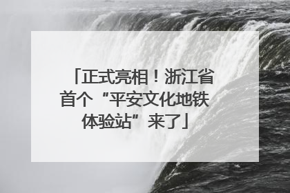 正式亮相！浙江省首个“平安文化地铁体验站”来了