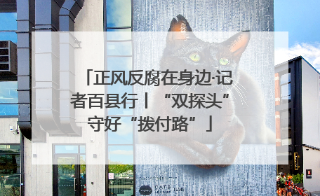 正风反腐在身边·记者百县行丨“双探头”守好“拨付路”