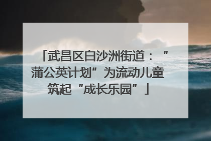 武昌区白沙洲街道：“蒲公英计划”为流动儿童筑起“成长乐园”
