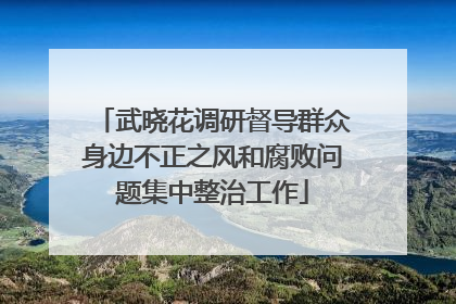 武晓花调研督导群众身边不正之风和腐败问题集中整治工作