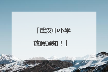 武汉中小学放假通知！