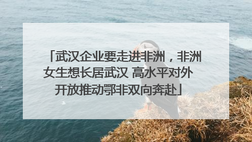 武汉企业要走进非洲，非洲女生想长居武汉 高水平对外开放推动鄂非双向奔赴