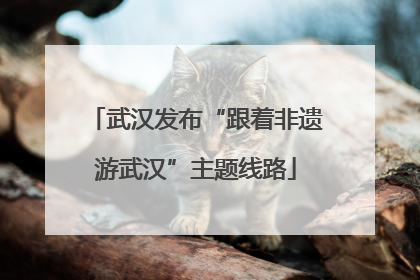 武汉发布“跟着非遗游武汉”主题线路